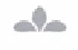 divder_img
